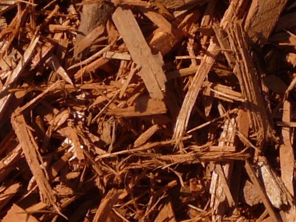 wood chips  texture